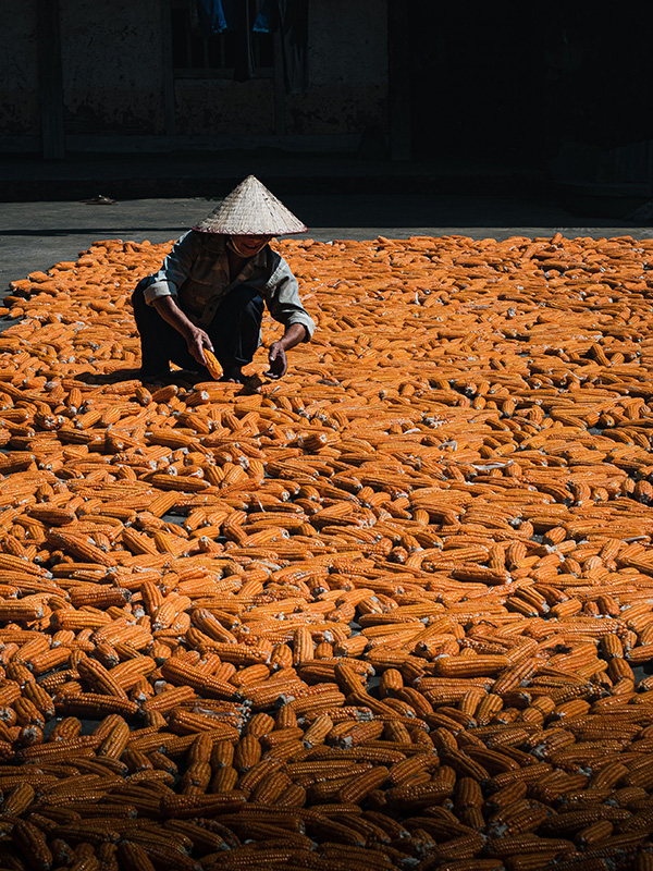 Connecting Global Buyers with Vietnam’s Best Sources