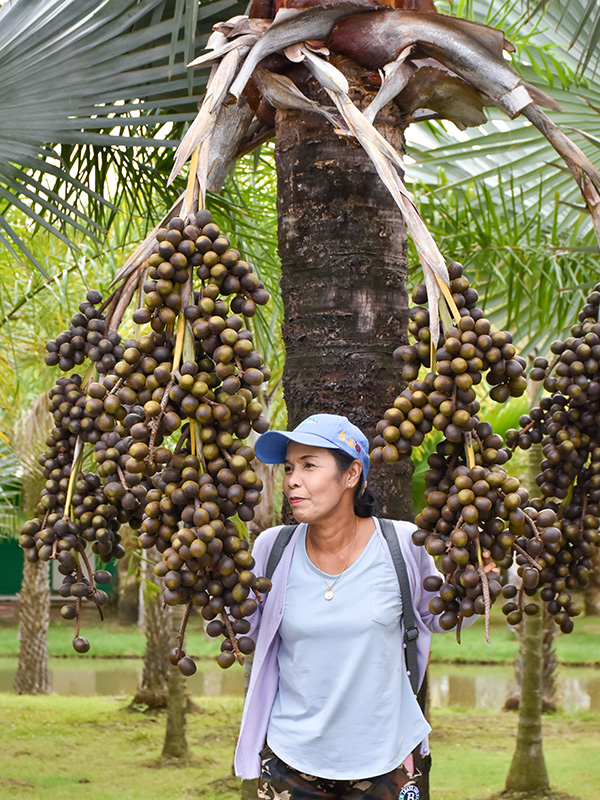 Connecting Global Buyers with Vietnam’s Best Sources