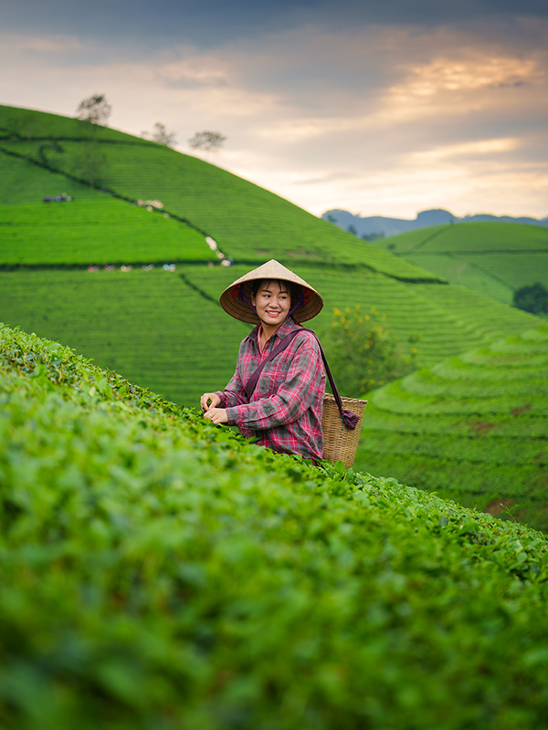 Connecting Global Buyers with Vietnam’s Best Sources
