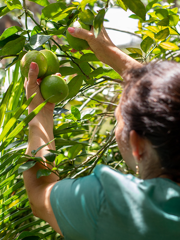 Connecting Global Buyers with Vietnam’s Best Sources